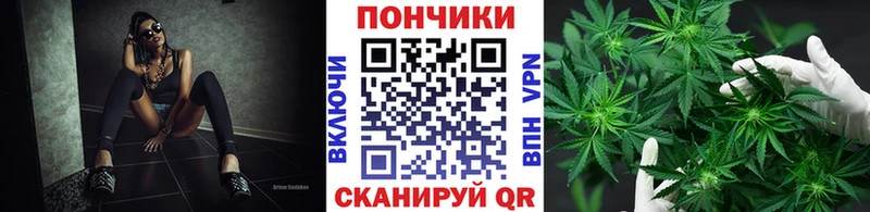 где продают наркотики  Ачхой-Мартан  Шишки марихуана OG Kush 